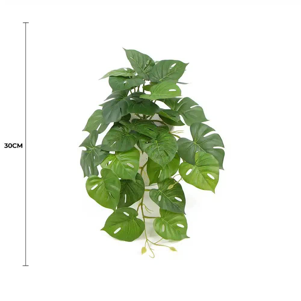 Decorative Artificial Monstera Adansonii Plant in Ceramic Bowl 30cm โ image 2