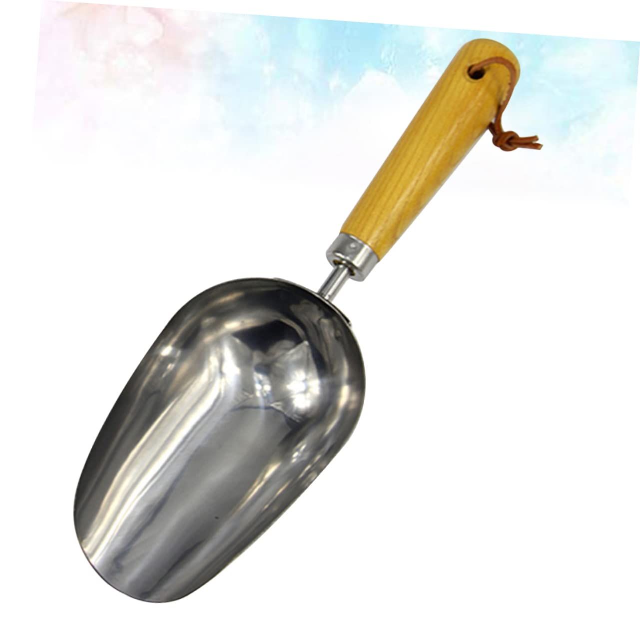 1pc Houseplants Ice Scoop for Freezer Stainless Steel Gardening Scoop Indoor Plant Succulent Planting Indoor Garden Tools Garden โ image 2