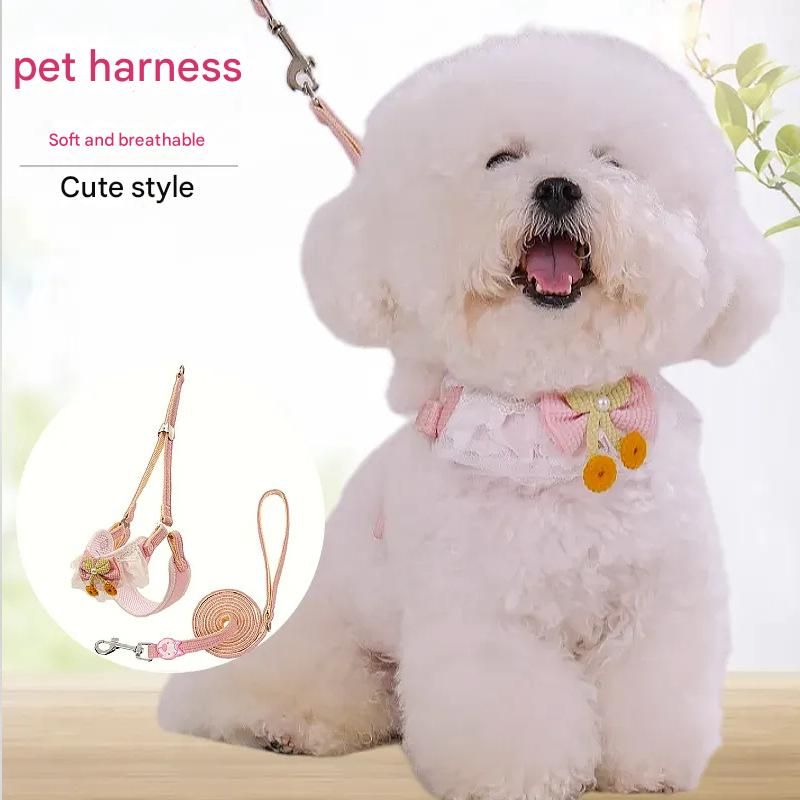 Sky blue Lace Y-Shaped Pet Harness and Leash Set - Breathable Mesh Vest for Small to Medium Dogs and Cats - Comfortable Walking Gear with 150cm Leash(Size:M) — image 2