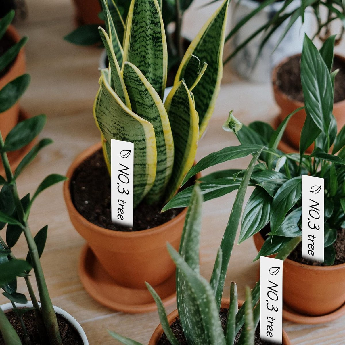 200 Pieces - Plant Labels - 2x10 CM - Plant Labels - Vegetable Labels - White - Plant Stake Tags - Nursery Stake Tags for Potted Plants - Plastic — image 3