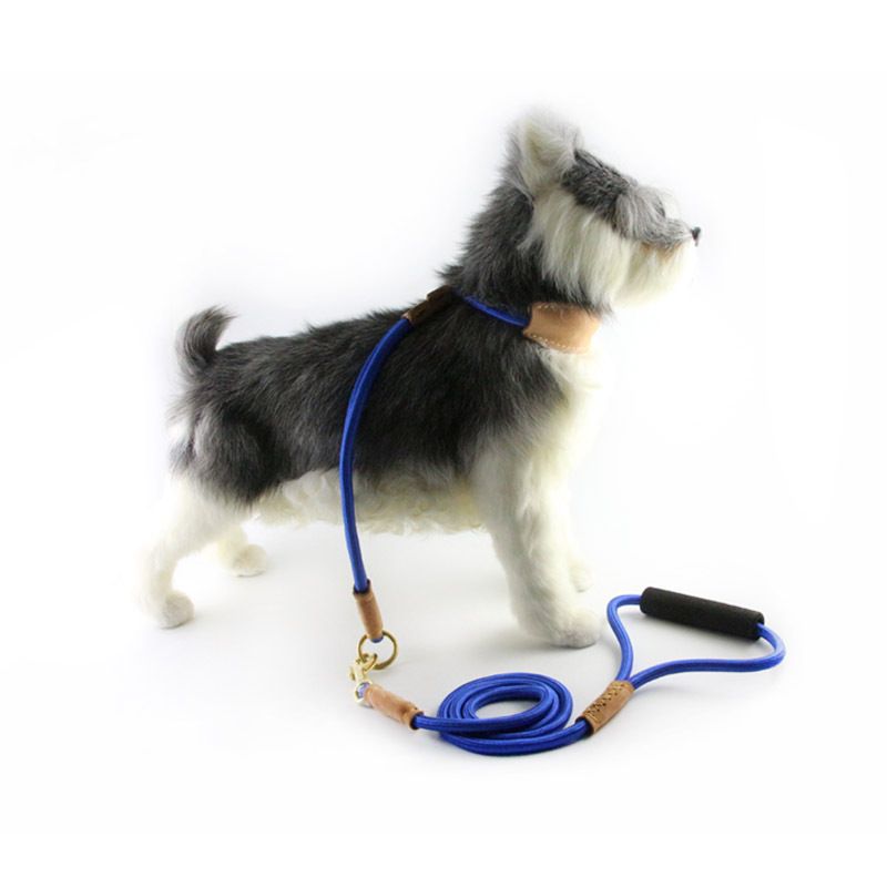 Dog Leash Nylon P Rope Training for Medium Large Dogs Black — image 4