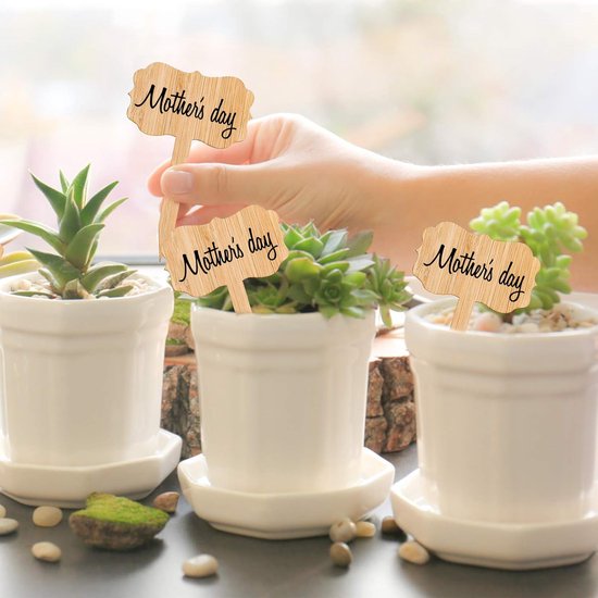 60 plant labels - Wooden garden labels - Decorative garden labels - Suitable for seeds, herbs in pots, flowers and vegetables β image 2