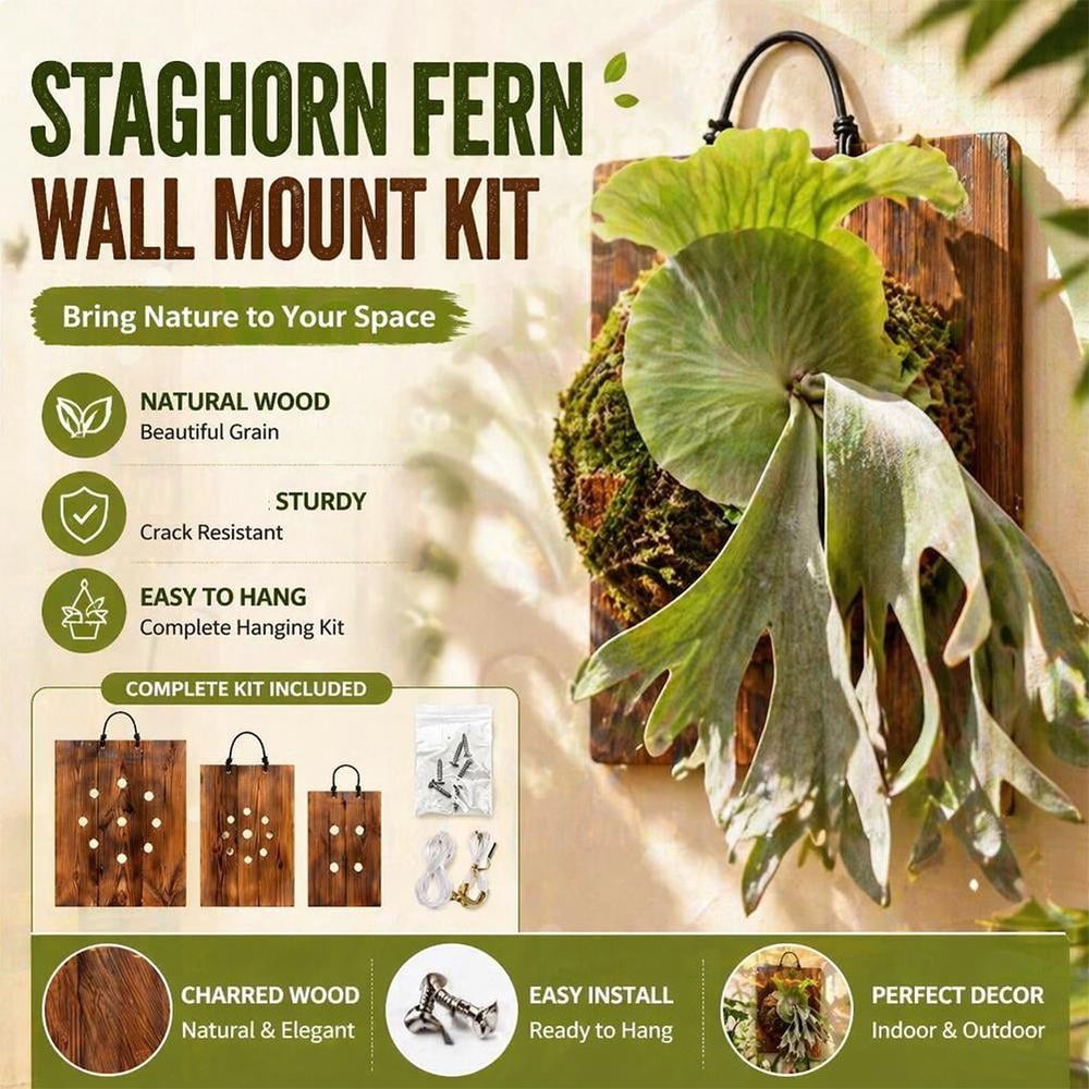 Fern Mount, Wood Rectangular Wall Mounting Plate for Indoor Outdoor, Vertical Hanging Planter Board for Orchids Plants, Fern Mounting Kit for Patio Porch Living Room Hallway