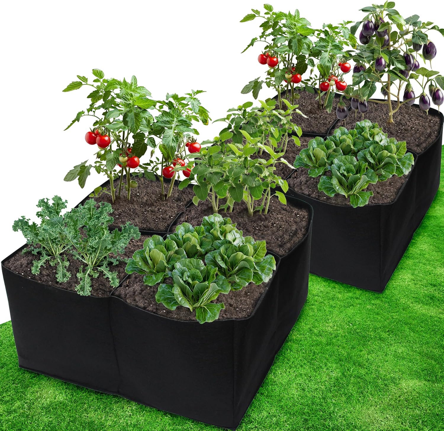 2 Pack Fabric Raised Garden Beds, 2x2x1 FT โ 4 Grids Grow Bed for Square Foot Gardening, Planting Box for Vegetables, Herbs, Flowers