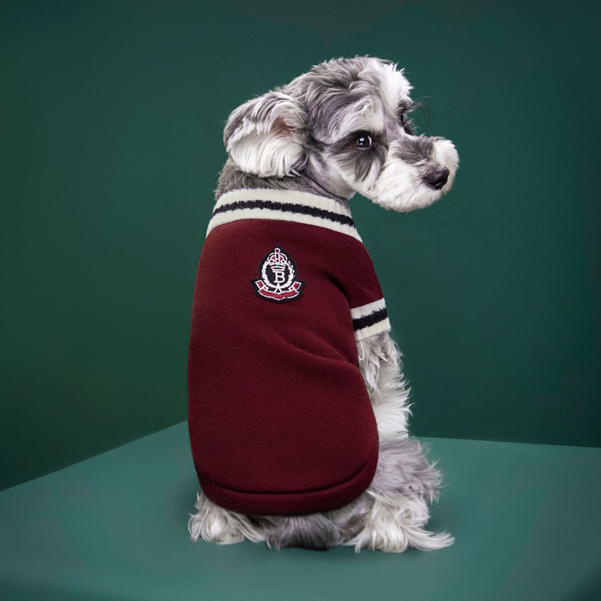 4-Pack M Size Preppy Style V-Neck Knitted Cotton Pet Sweater - Hair-Resistant & Breathable, Classic Fleece-Lined Pullover for Cats and Dogs(Green + Red + Khaki โ image 5