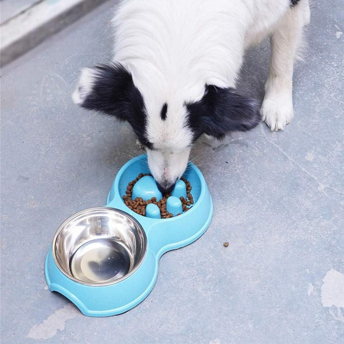 Dog Slow Feeder Double Bowl Pet Food and Water Dish - Blue โ image 6