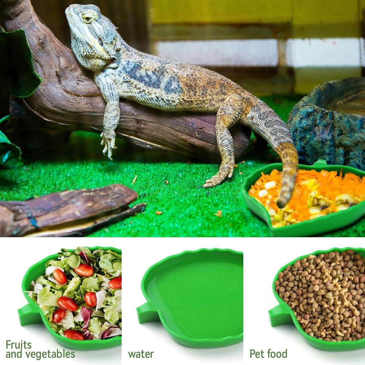 2 Pack Leaf Shaped Reptile Food and Water Bowls, Shallow Feeding Dishes for Tortoises, Lizards, Small Snakes and Bearded Dragons — image 6