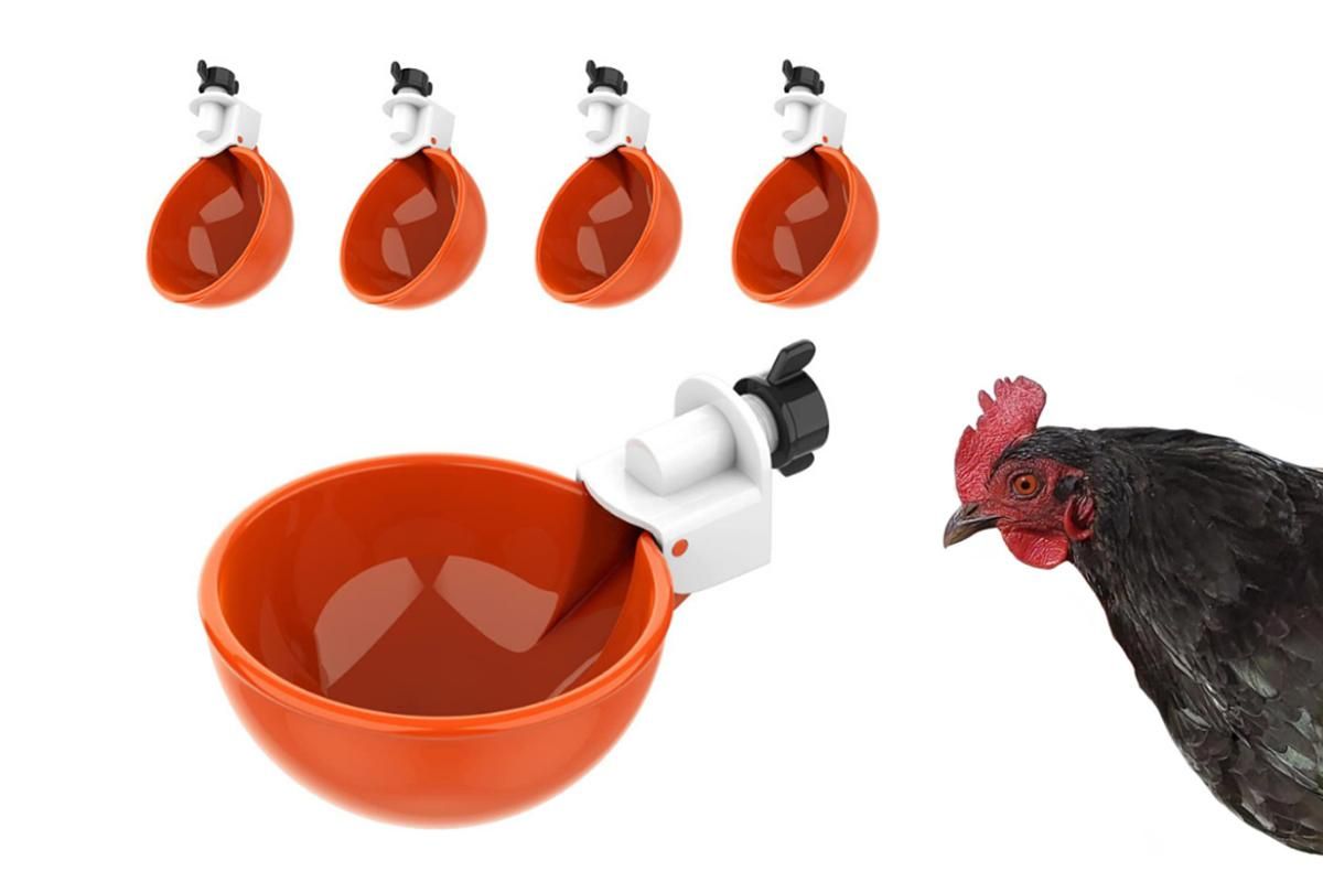 10Pcs Chicken Water Cup Feeder Automatic Drinking Bowl Poultry Cup-Orange โ image 5