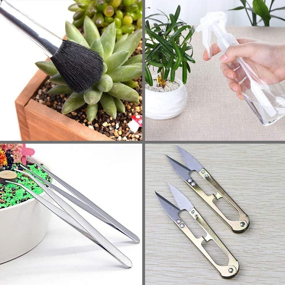 15 Pcs Succulent Plant Tools Set, Mini Garden Planting Watering Tool Kit for Succulent Miniature Gardening Plant Care — image 5