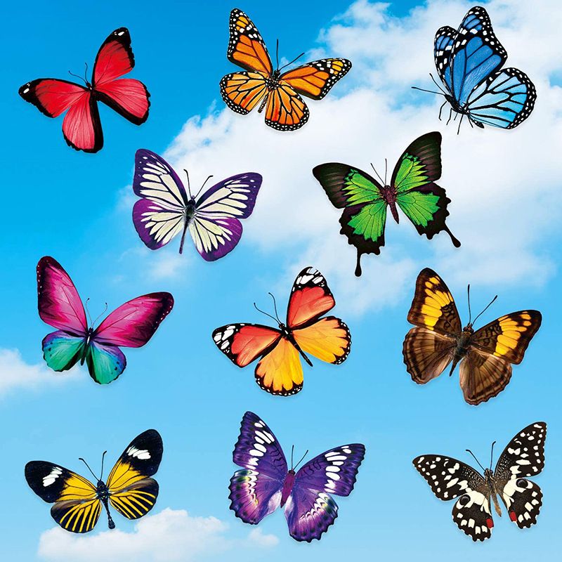 Colorful Butterfly Window Clings Double-Sided Anti-Collision Window Decals to Prevent Bird Strikes on Window Glass Non-Adhesive — image 2