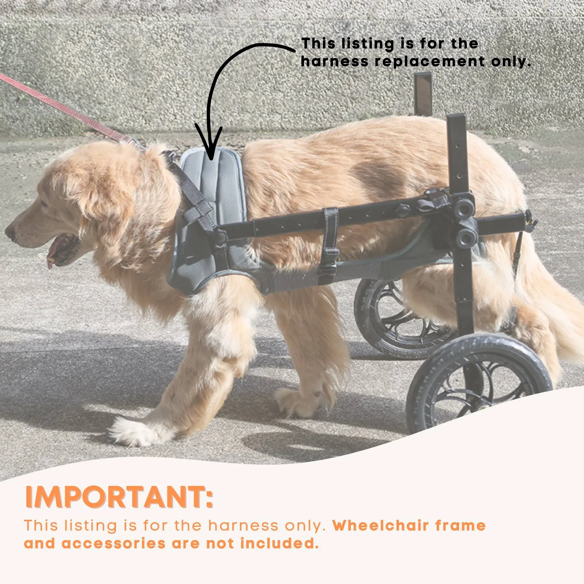 Rooster Farms Replacement Harness for Dog Wheelchair XXL - Large Dogs Up to 45Kg — image 4