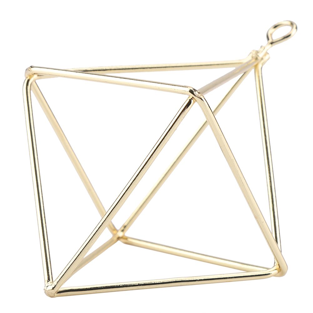 Geometric Air Pants Holder Fashionable Flowers Bromeliads Hanging Rack Home Decor Gold — image 4