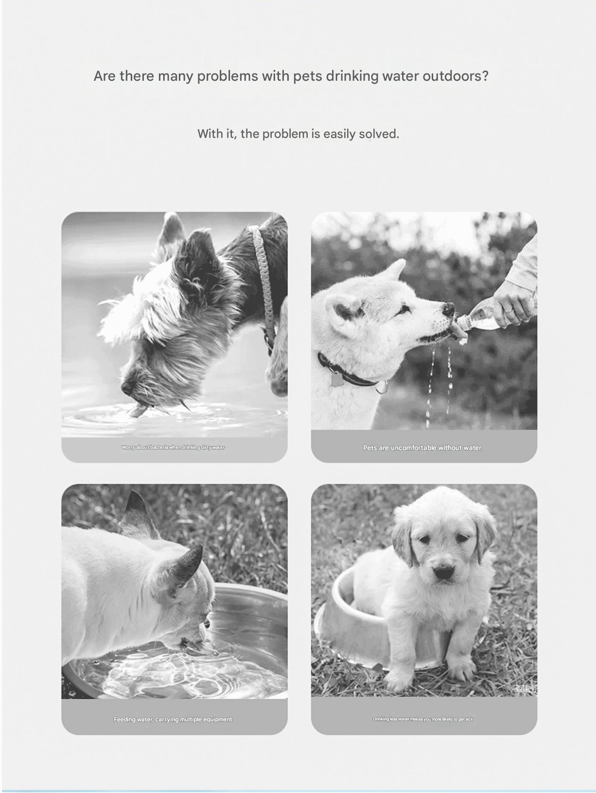 Yellow 650ml Portable Dog Water Bottle - Leak-Proof Pet Travel Water Dispenser, Cloud-Shaped Drinking Bowl, Twist-to-Dispense Design, BPA-Free HIPS/PET โ image 3