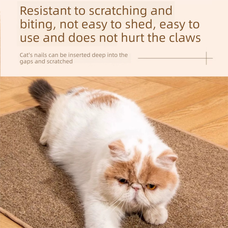Grey S size 40*60cm Soft Cat Scratching Mat & Lounge Bed – Durable Furniture Protector Rug, Washable Scratch Pad for Cats and Small Pets — image 5