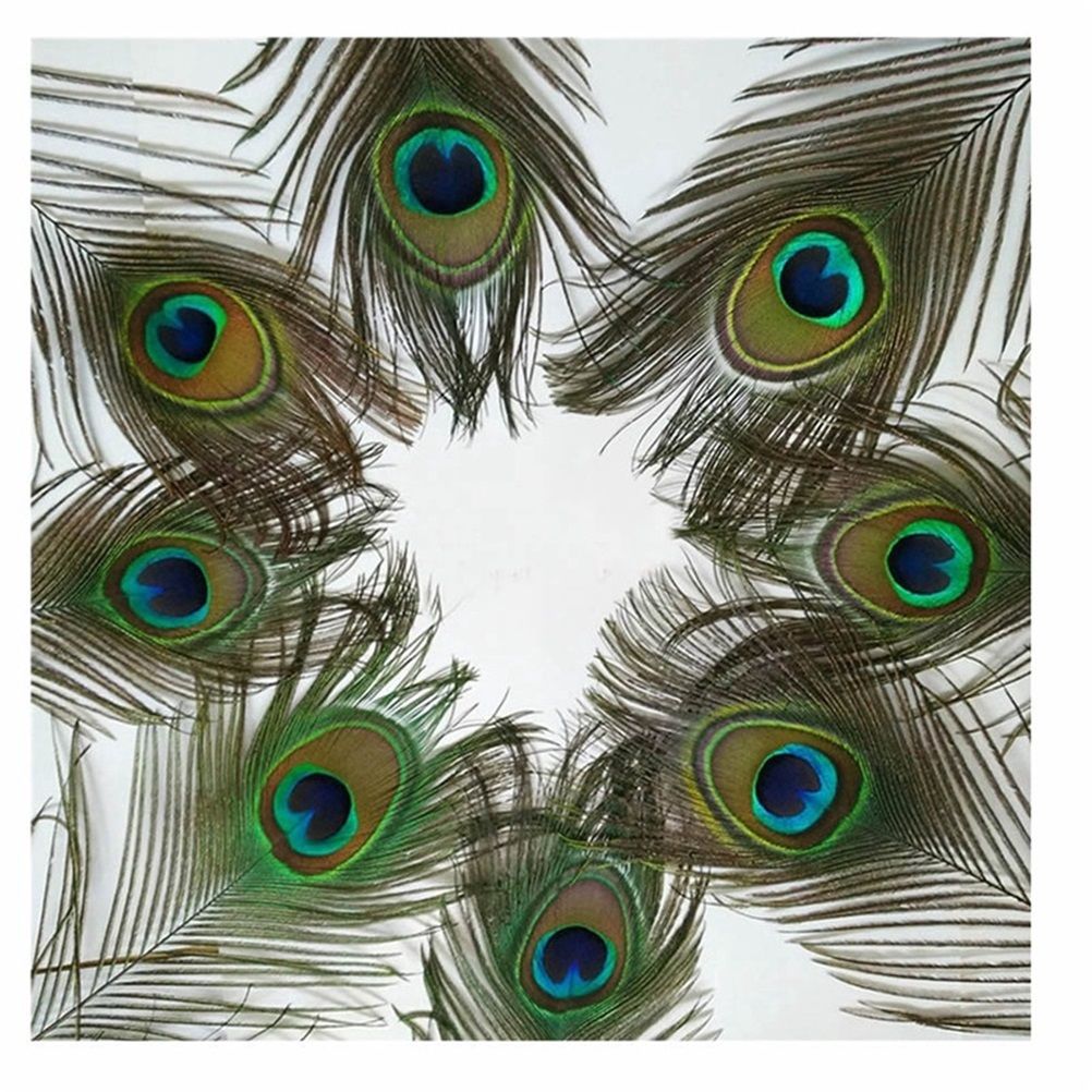 10PCS Natural Peacock Feather for House DIY Craft Holiday Wedding Decorations — image 4