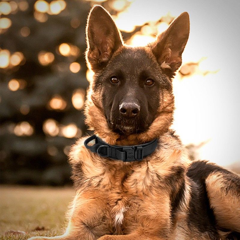 Tactical Dog Collar Military Dog Collar Adjustable Nylon Dog Collar Heavy Duty Metal Buckle with Handle for Dog Training (Black,L) — image 2