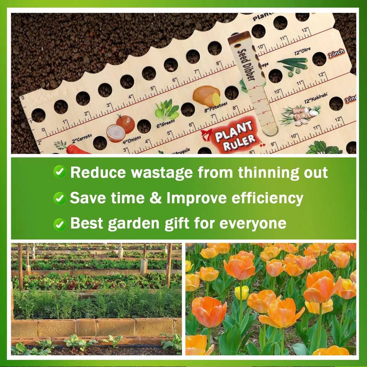 Wooden Plant Ruler with Seed. Multifunction Seed Spacing Ruler with Planting Guide. Garden Ruler with Holes, Gardening Tools — image 2