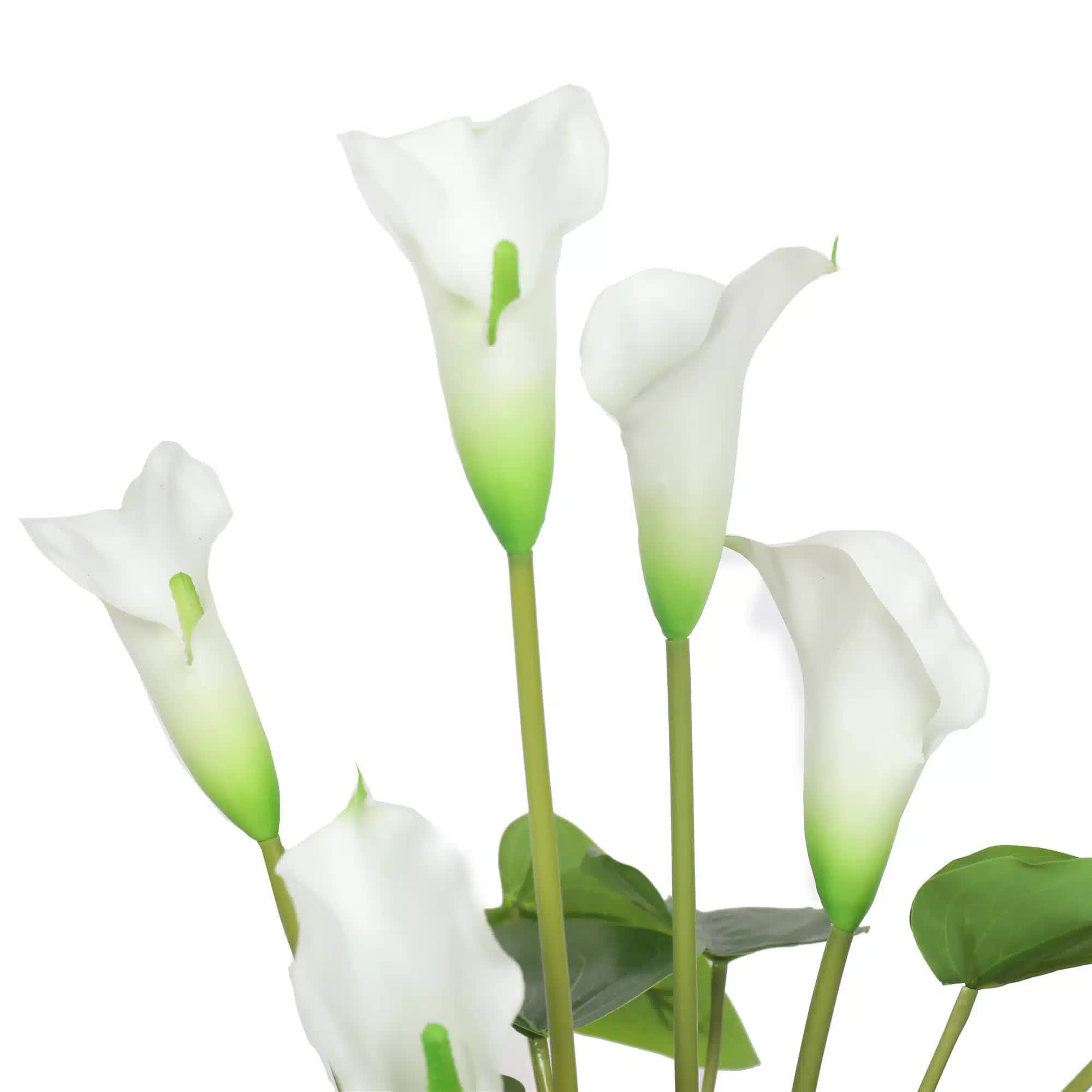 Artificial Flowering White Peace Lily / Calla Lily Plant 50cm โ image 3