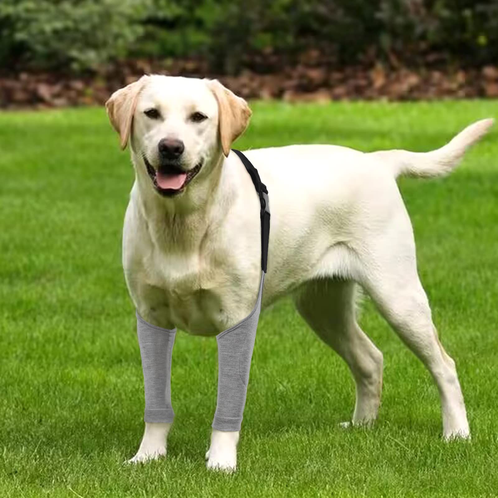 Dog Recovery Suit Front Legs, Dog Recovery Sleeve After Surgery with Elastic Band, Protective Elbow Protector Grey, L โ image 4