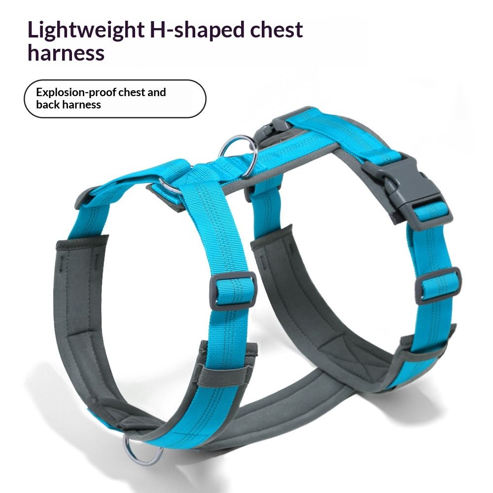 Pet No Pull Dog Harness, Adjustable Nylon Harness with Soft Padding, Reflective and Heavy Duty Dog Harness for Small, Medium, Large Dogs(light blue โ image 2