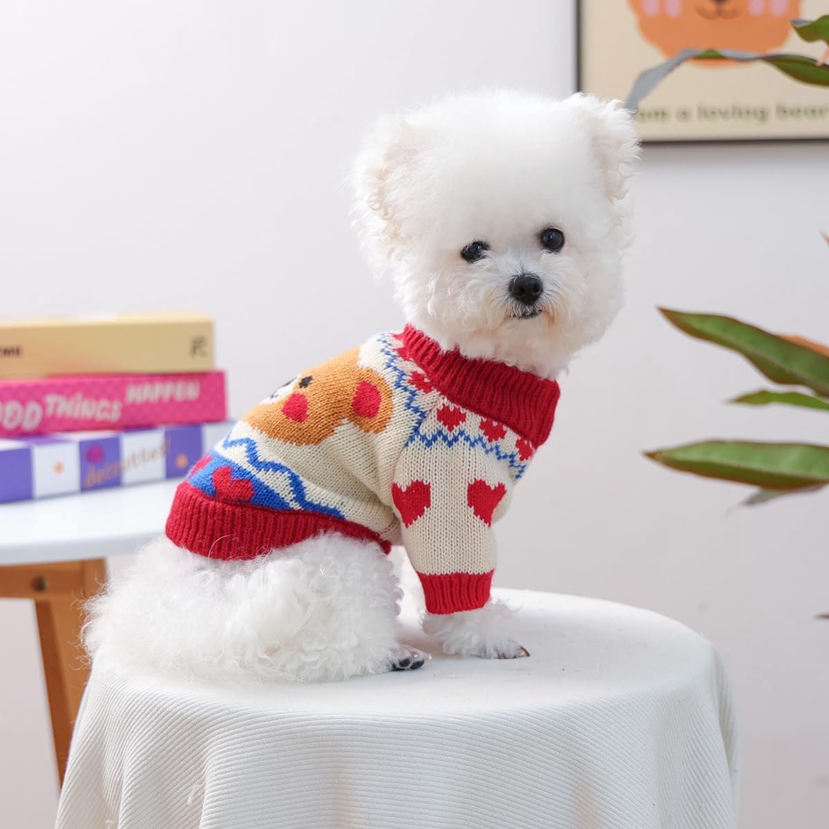Dog Coat - Dog Sweater - Warm Winter Dog Clothes - Knit Sweater - Dog Pullover - Lightweight and Warm Cat Sweater - Perfect for Chihuahuas - Birthday Clothes — image 5