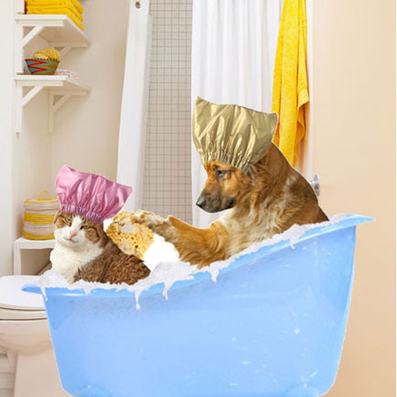 Cap Pet Shower and Bath Supplies Pet Bath Accessories Prevent Water in Pet Cat Ears Headgear Pet Waterproof,Bathing Cap
