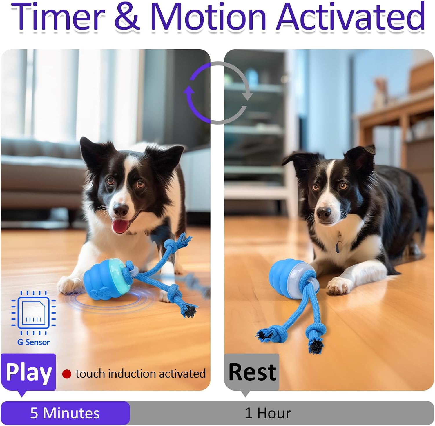 Interactive Dog Toys with Motion Activated, Squeaky Dog Toy Active Rolling Ball Wicked Ball for Daily Training BLUE โ image 3
