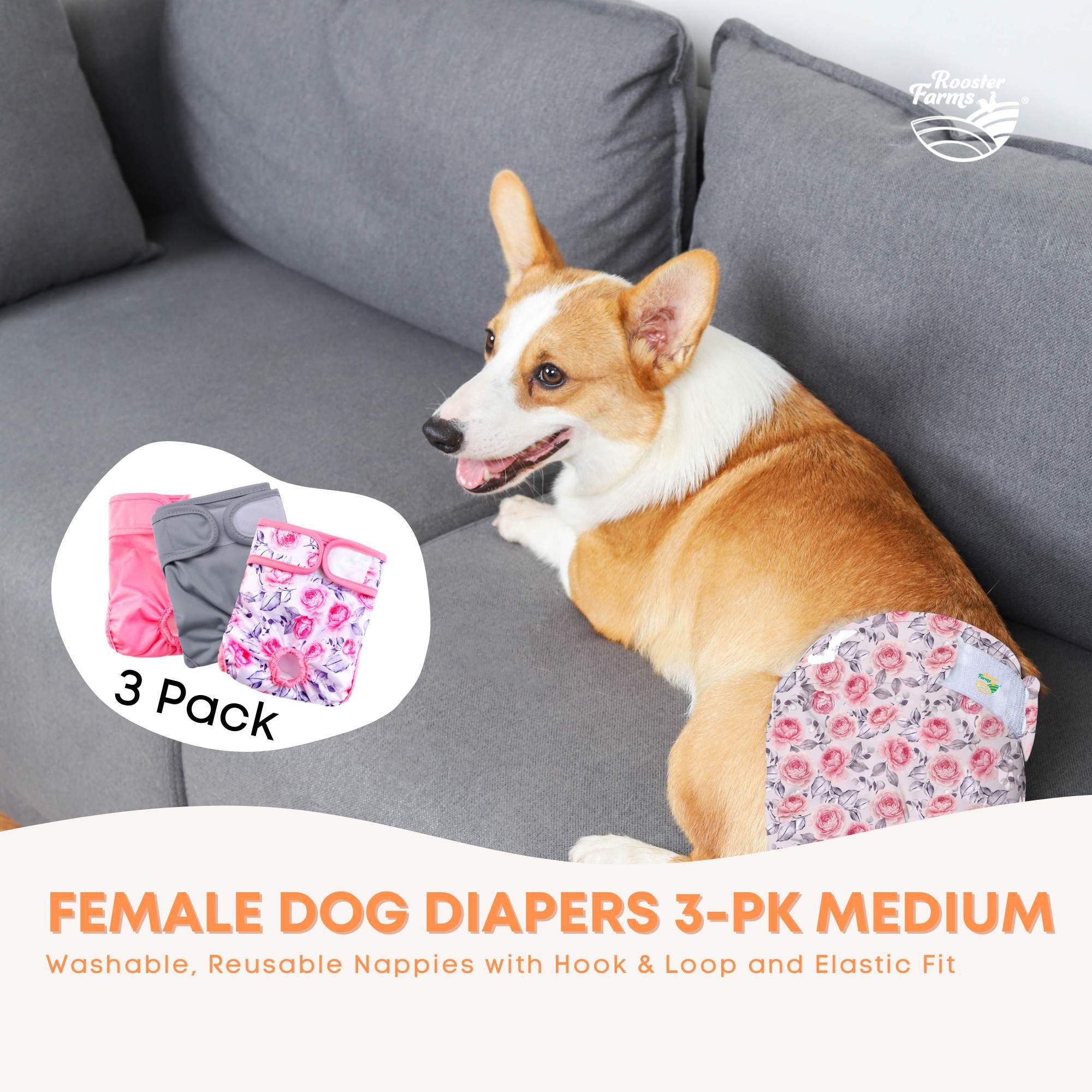 Rooster Farms Female Dog Diapers Medium 3Pk - Washable Reusable Nappy Hook/Loop — image 2
