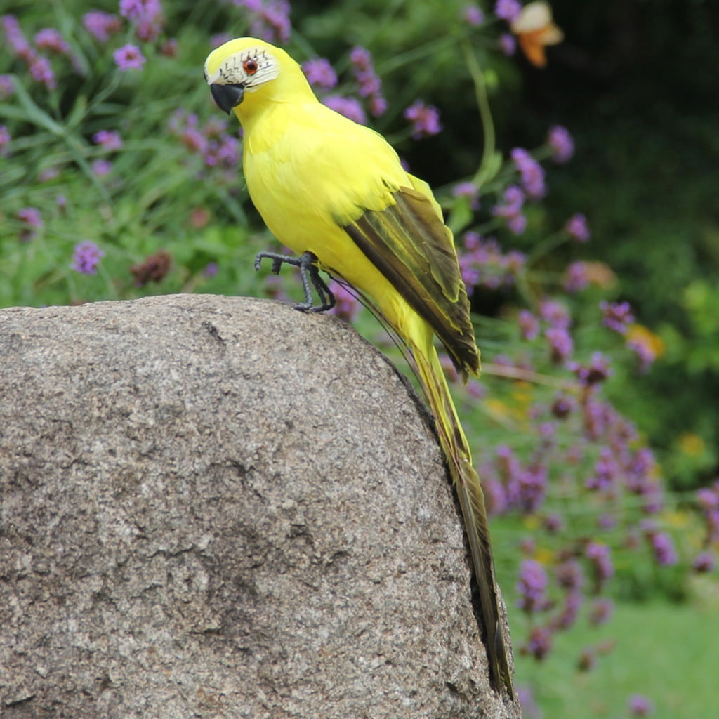 Fake Parrot, 10 x 0.4 Inch Realistic Artificial Birds Model, Fade Birds for Garden Patio Yard Lawns Tropical Tree Wall, Decorative Birds Yellow โ image 5