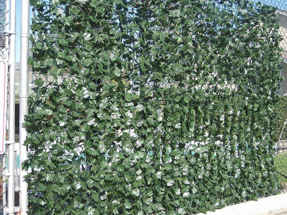 Double Sided Ivy Rolls 3m X 1m โ image 3