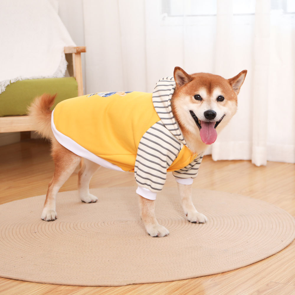 Autumn/Winter Dog Clothes - Yellow Hoodie with Striped Hood & Baseball Bear (Size - M)