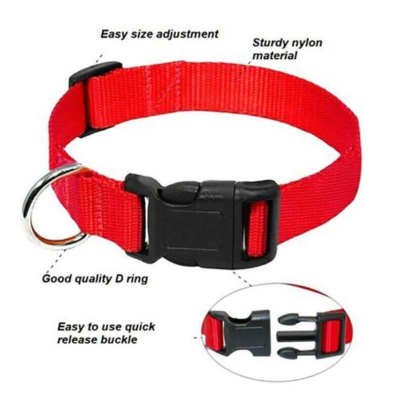 L Size Dog Puppy Pet Collar Adjustable Nylon Toy Large Pink Blue Red Black - Grey — image 4