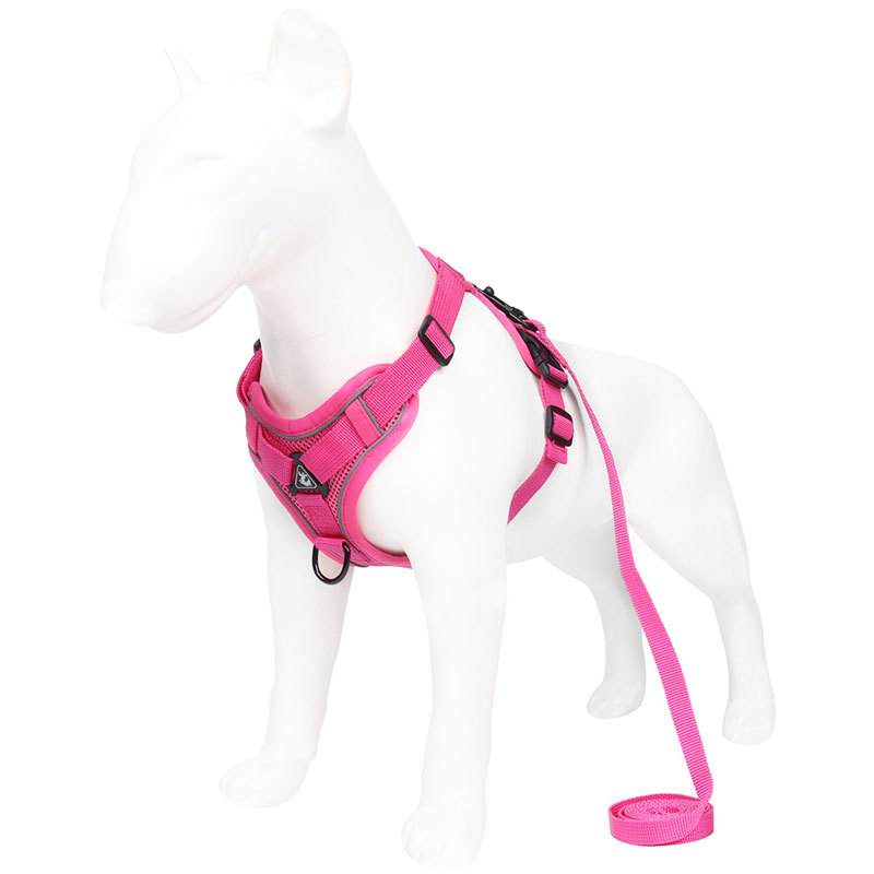 Grey Reflective Mesh Dog Harness and Leash Set - Adjustable No-Pull Vest - L โ image 3