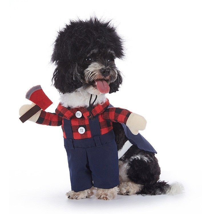 Family Celebration Worn Decor For Cats & Dogs, Festival Accessory For Halloween Christmas Holiday Events, Size M