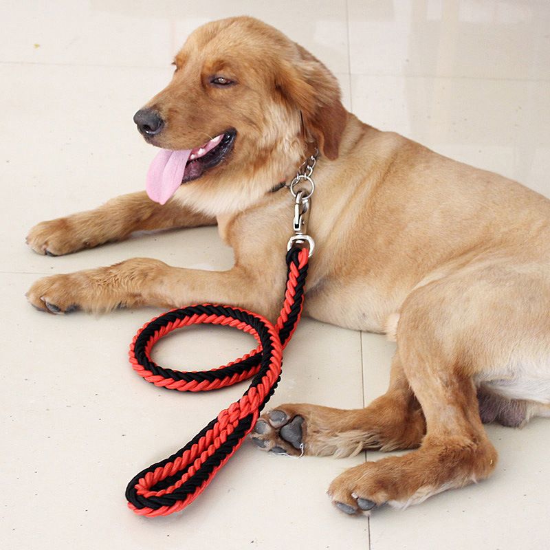 Nylon Dog Leash 8 Strand Braided Pet Walking Rope Purple Xl-rope length 1.3m thick 3.0cm โ image 3