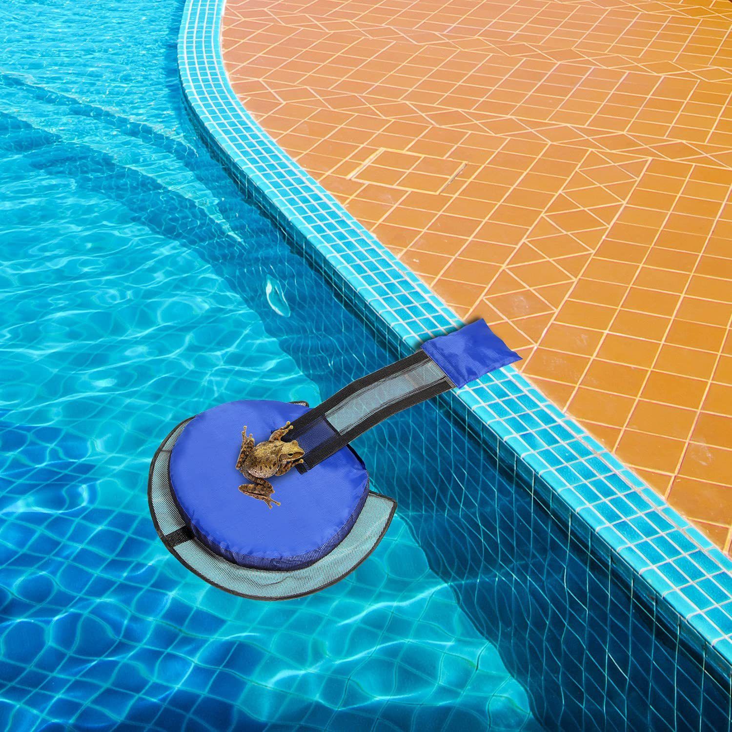 Pool Animal Escape Ladder (PVC) Size: 330 × 280 × 30mm Color: Blue for Birds Outdoor Use (1pc) — image 3