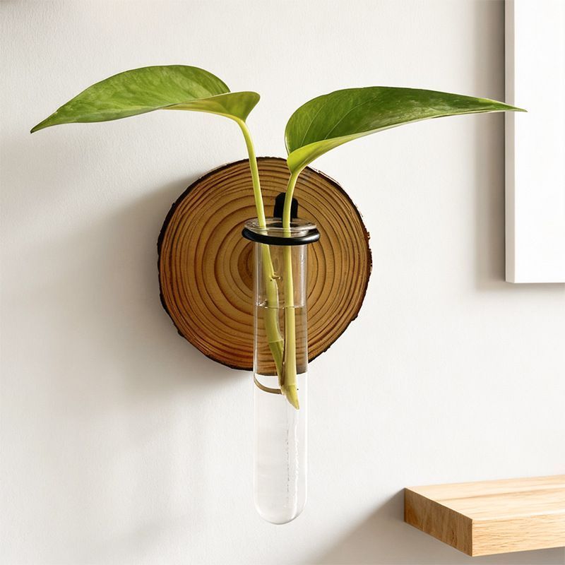 Creative Test Tube Hydroponic Vase-Set of 6 โ image 6