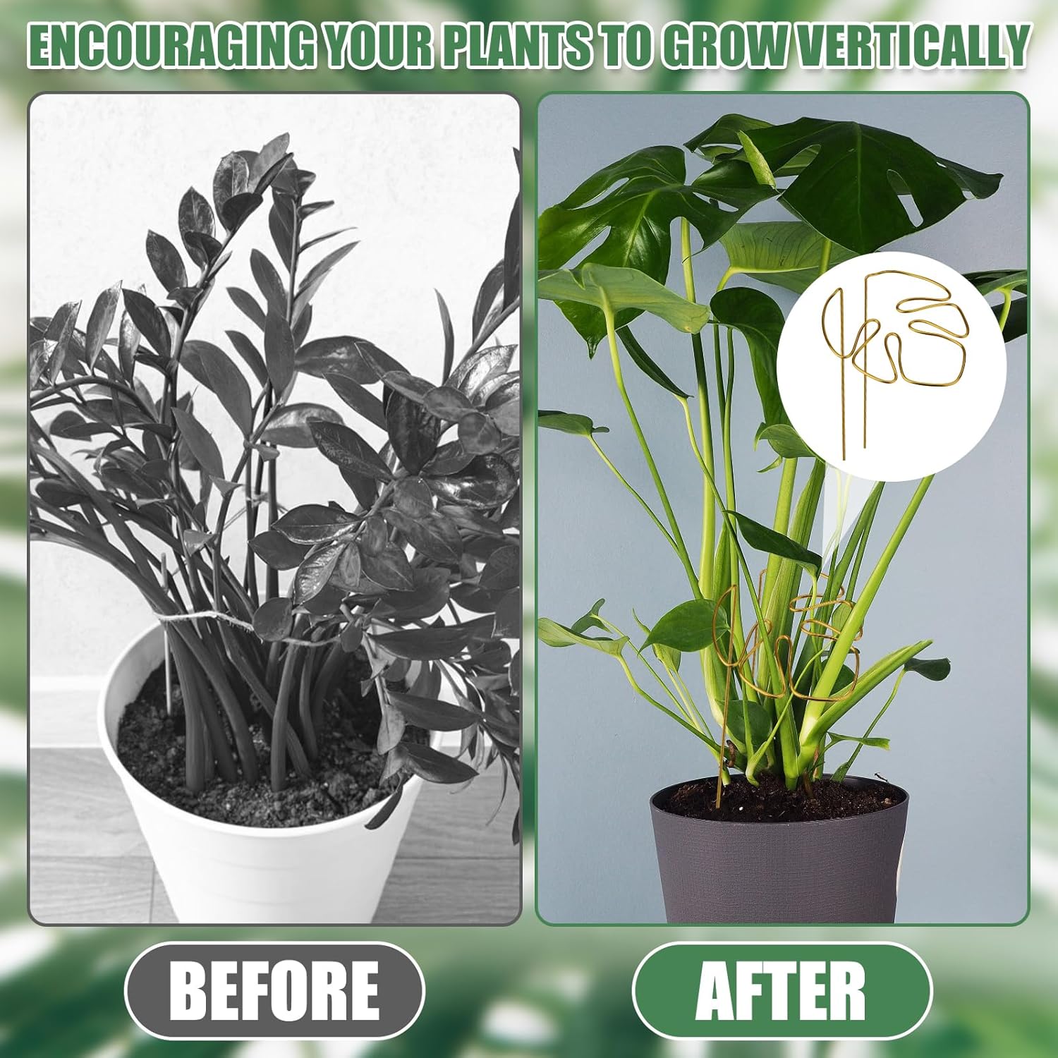2 Pack Gold Plant Supports Indoor Outdoor Plant Stakes Clips Plant Stand for Plant Support — image 4