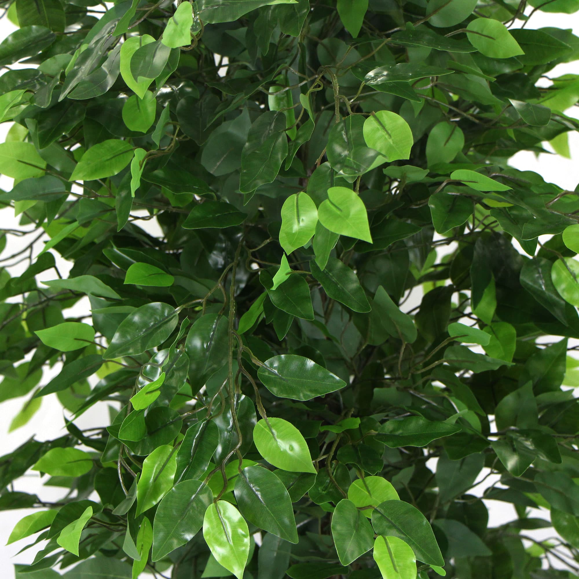 Artificial Ficus Tree 180cm Nearly Natural UV Resistant — image 4