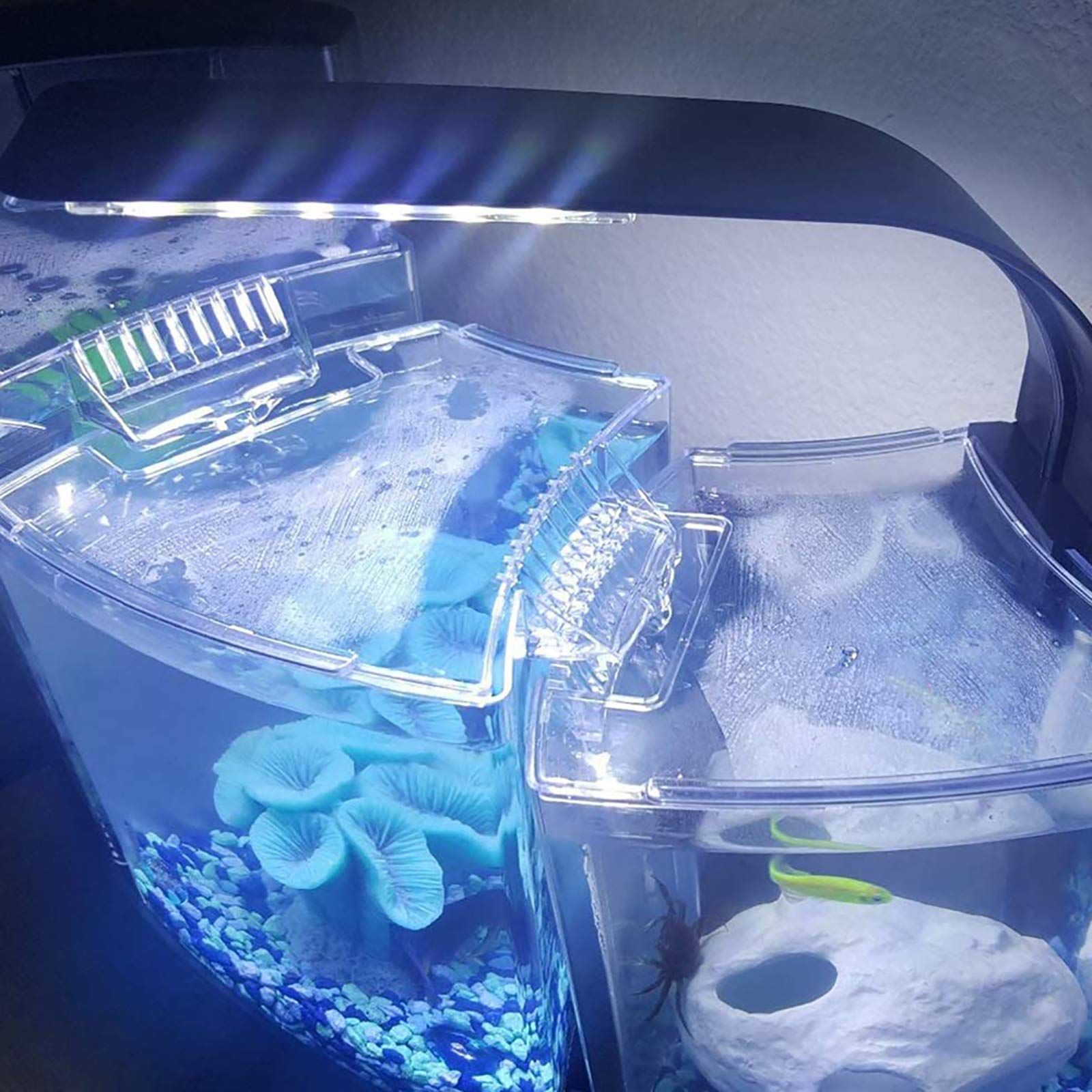 Aquarium Clip-on led Light, Fish Tank Light with White and Blue LEDs, Small LED Aquarium Light for Freshwater Tank — image 2