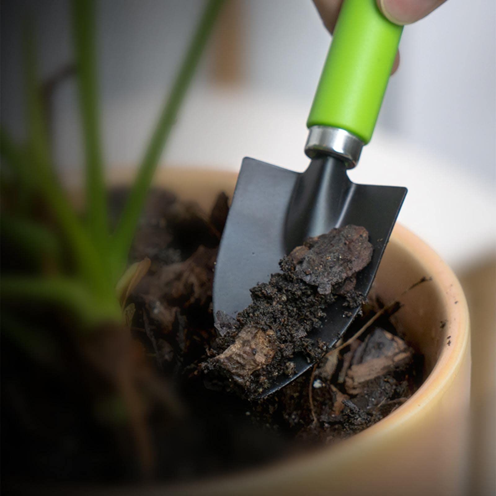 3 Pieces Mini Garden Plant Tool Set for Succulents Weeding Digging Planting,Used for Loosening Soil, Digging Pits, Weeding, Etc — image 5