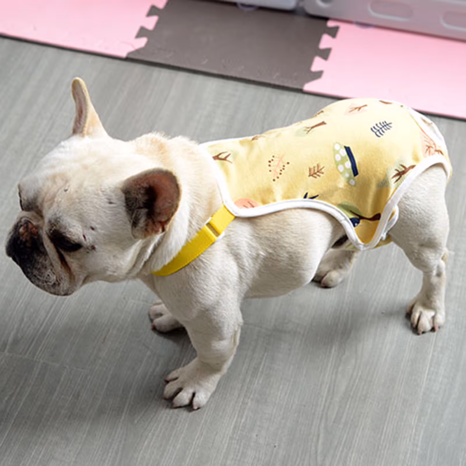 Pet Sanitary Pants Adjustable Band Menstruation Shorts Washable Dog Diaper Pet Physiological Pants for Indoor L Pink โ image 3