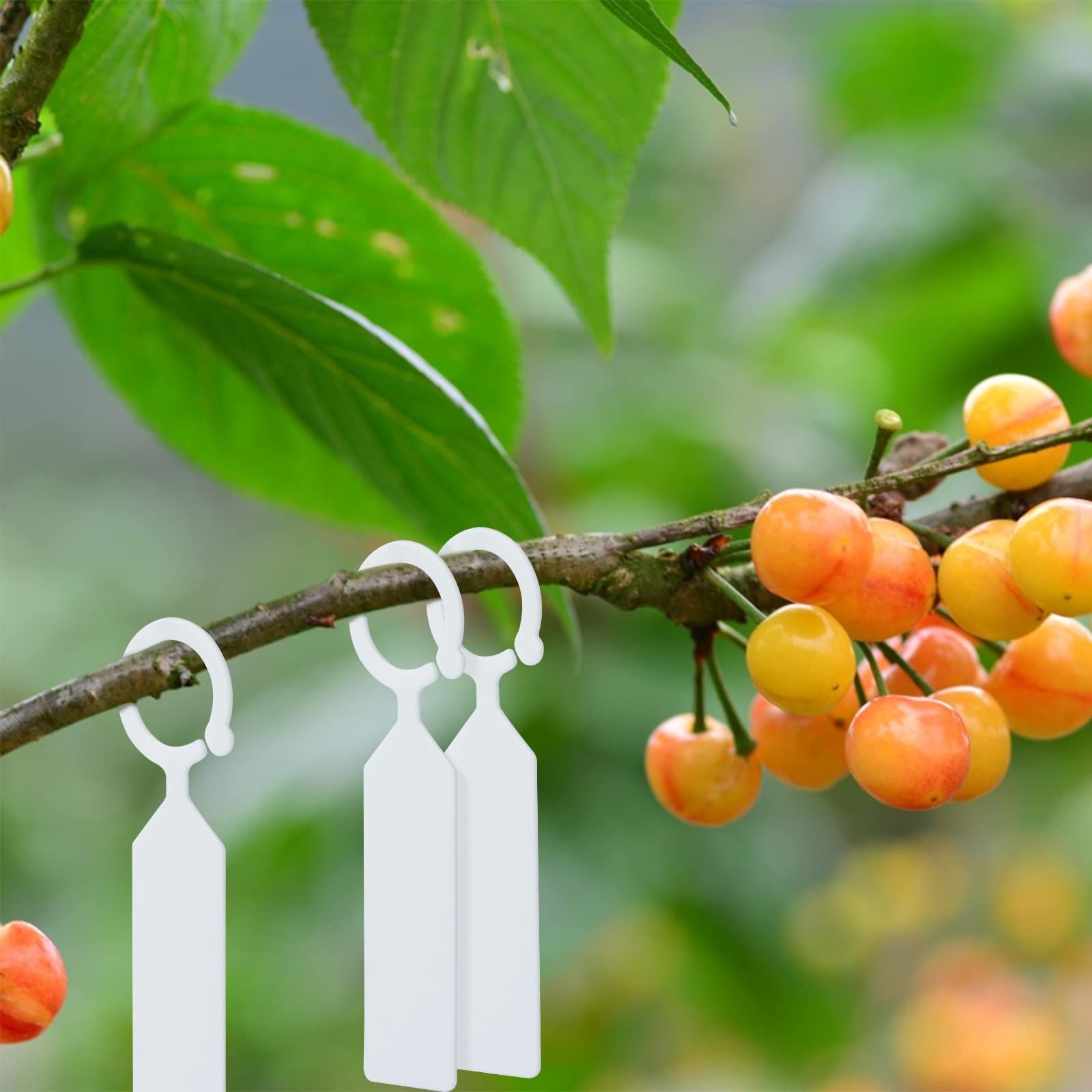 100Pcs White Plastic Plant Tree Tags Ring Tag Hanging Plant Labels,Plant Tags Garden Labels Sturdy Nursery Garden Markers — image 5