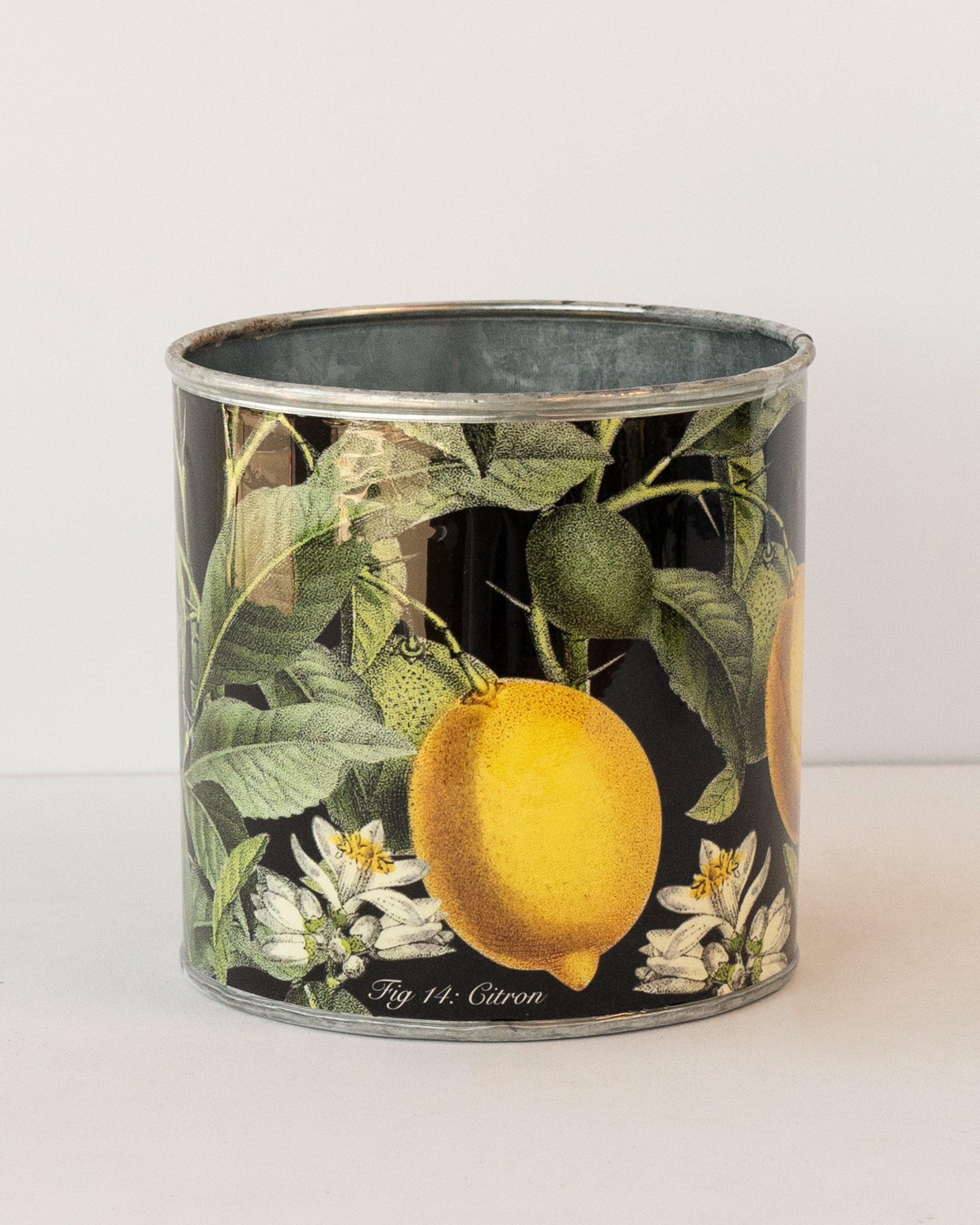 tin-planter-lemons-set-of-4 โ image 2