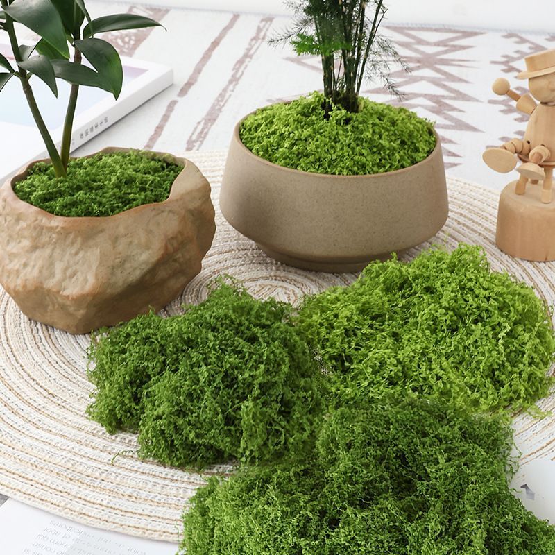 Dark Green Artificial Moss 50×50cm — image 5