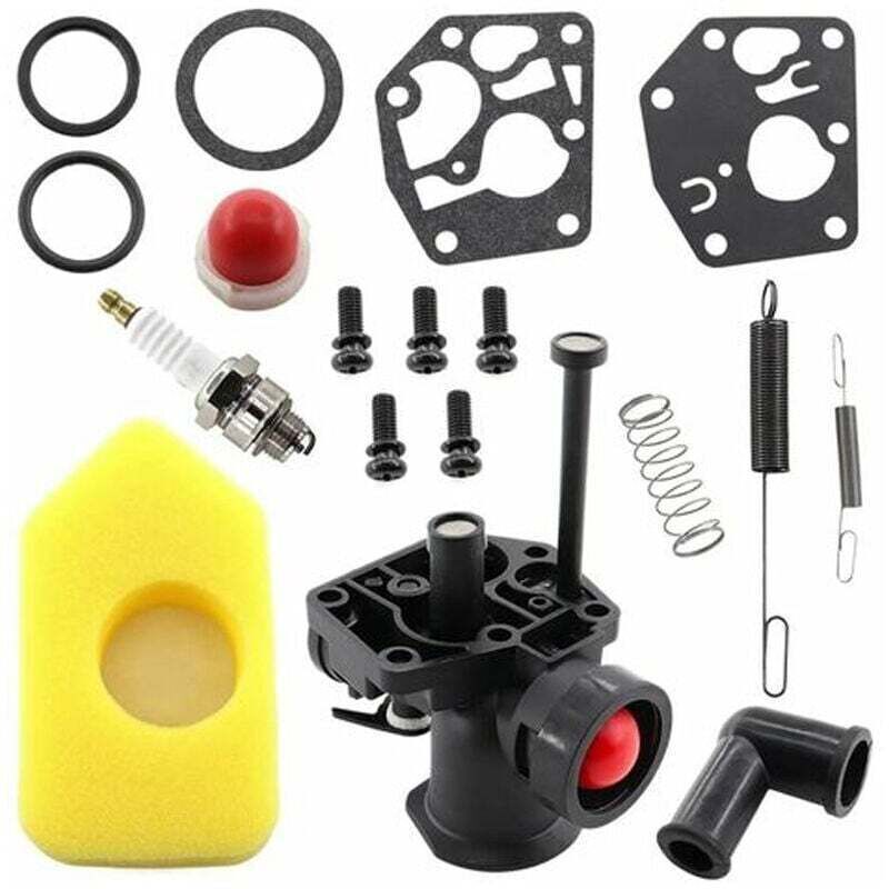 Carburetor Kit for Lawn Mower, Regulator Spring 691859 692211, Diaphragm 795083 495770, Briggs & Stratton 499809 498809A 494406 and Air Filter 698369