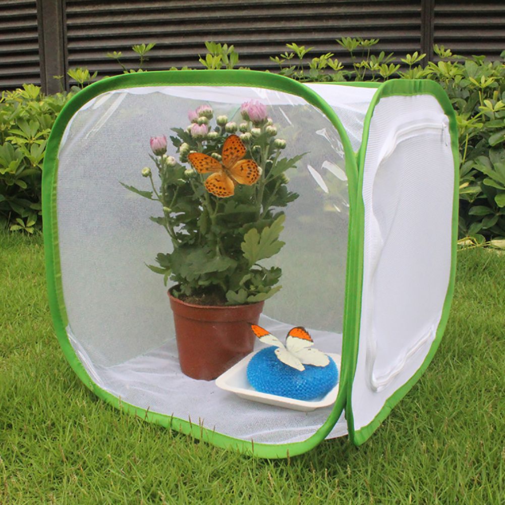 Portable Insect Butterfly Habitat Cage Insect Housing Enclosure Breeding Cage โ image 3