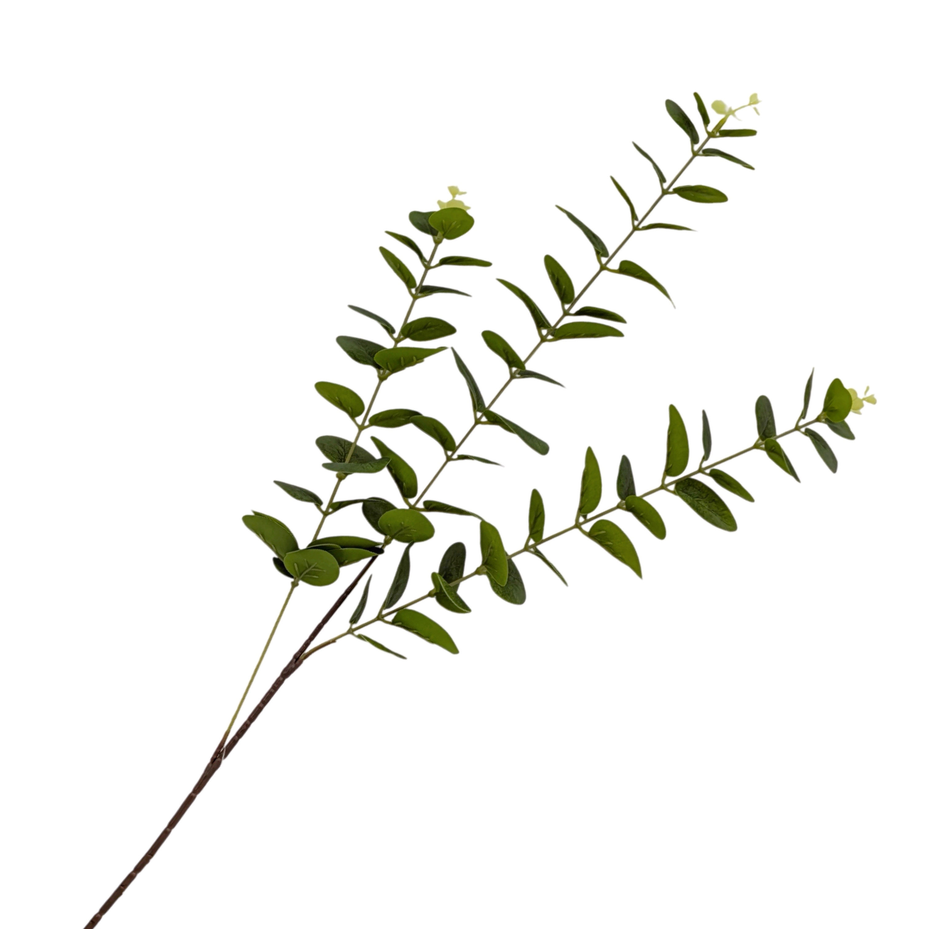 bulk 24 Artificial Eucalyptus Stem 3 Branches 2 Assort 80cm