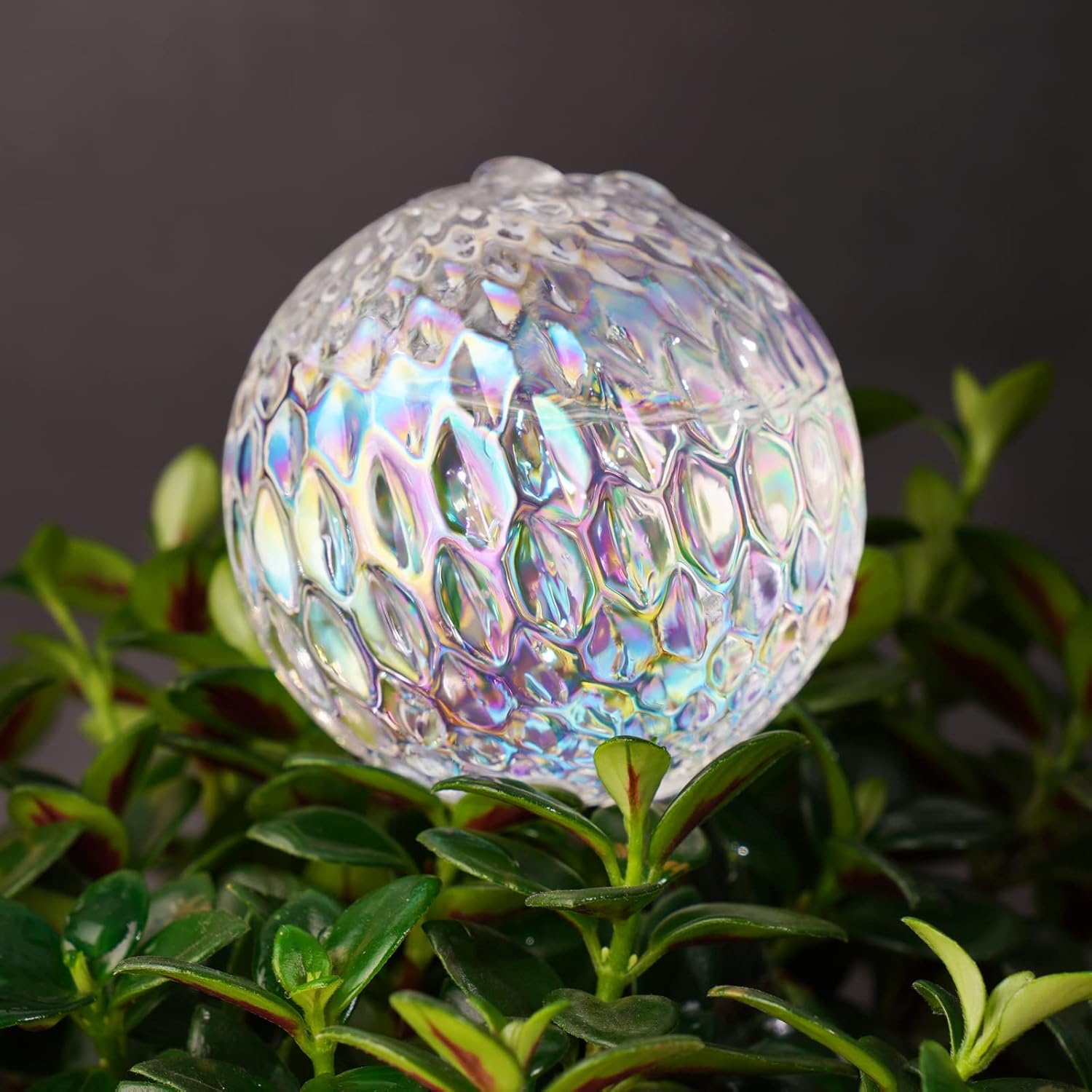 Glass Self-Watering Plant Balls, 2-Pack, Pearlescent, Clear Iridescent, Plant Watering Device, Diamond Pattern, Self-Watering Balls, Planter Insert, Decorative โ image 4