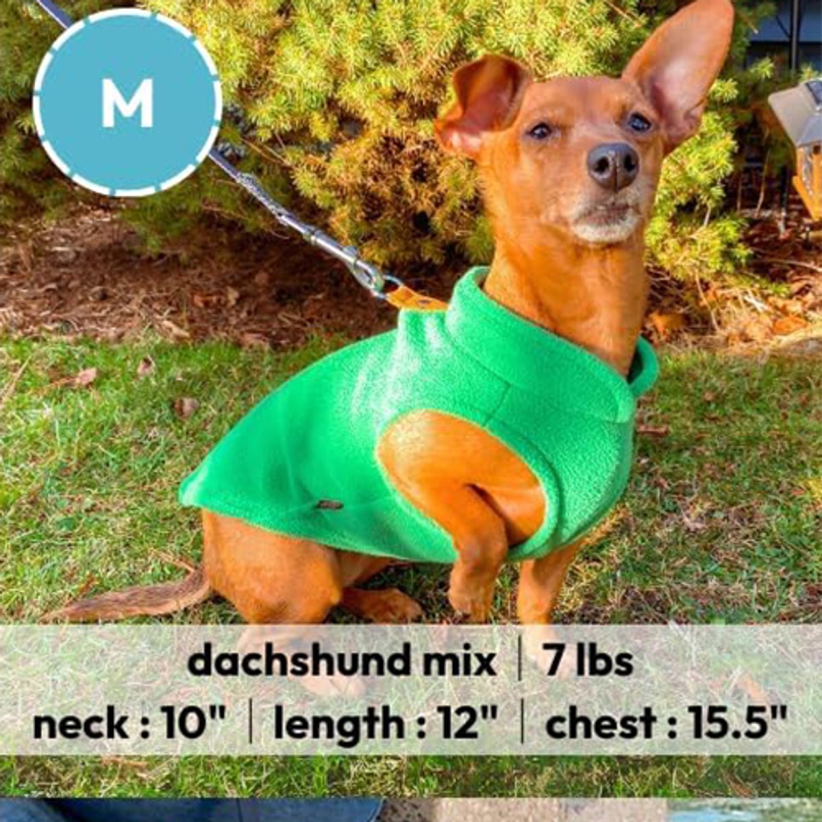 Dog coat - Fleece dog vest - Winter dog coat - Warm dog coat - Fleece dog sweater - Ring leash - Perfect for small dogs - Medium-sized dogs - Black - Size M — image 2